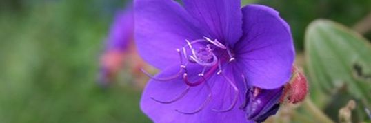 Venus Salon Jonnobi Top